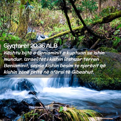 Picture 02 - Gjyqtarët 20:36 ALB - Kështu bijtë e Beniaminit e kuptuan se ishin - Bible Verse Picture