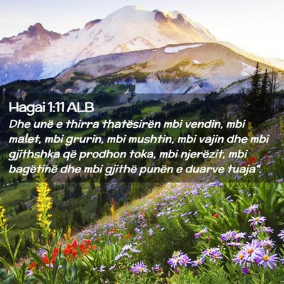Picture 02 - Hagai 1:11 ALB - Dhe unë e thirra thatësirën mbi vendin, mbi - Bible Verse Picture