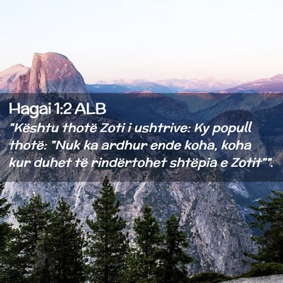 Picture 02 - Hagai 1:2 ALB - 