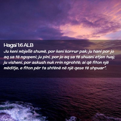 Picture 02 - Hagai 1:6 ALB - Ju keni mbjellë shumë, por keni korrur pak; ju - Bible Verse Picture