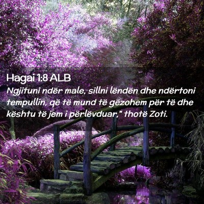 Picture 02 - Hagai 1:8 ALB - Ngjituni ndër male, sillni lëndën dhe - Bible Verse Picture