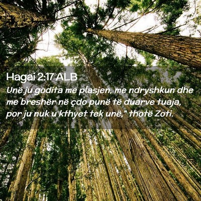 Picture 02 - Hagai 2:17 ALB - Unë ju godita me plasjen, me ndryshkun dhe me - Bible Verse Picture