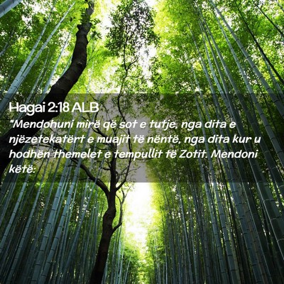 Picture 02 - Hagai 2:18 ALB - 