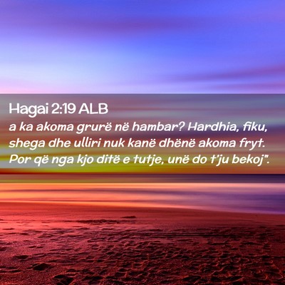 Picture 02 - Hagai 2:19 ALB - a ka akoma grurë në hambar? Hardhia, fiku, - Bible Verse Picture