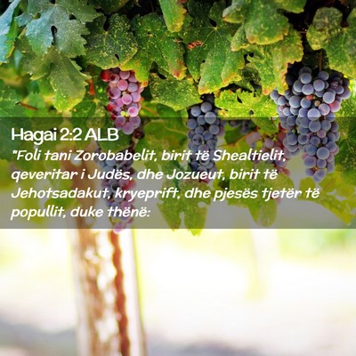 Picture 02 - Hagai 2:2 ALB - 