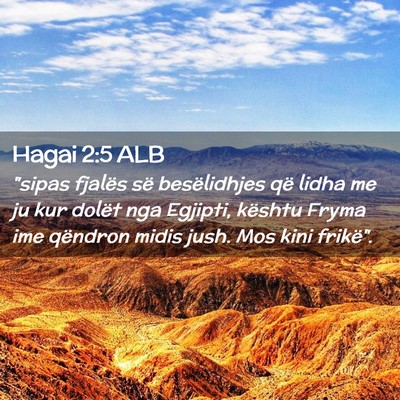 Picture 02 - Hagai 2:5 ALB - 