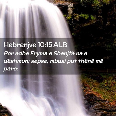 Picture 02 - Hebrenjve 10:15 ALB - Por edhe Fryma e Shenjtë na e dëshmon; sepse, - Bible Verse Picture