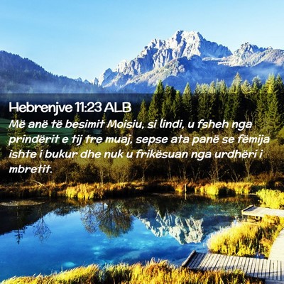 Picture 02 - Hebrenjve 11:23 ALB - Më anë të besimit Moisiu, si lindi, u fsheh - Bible Verse Picture