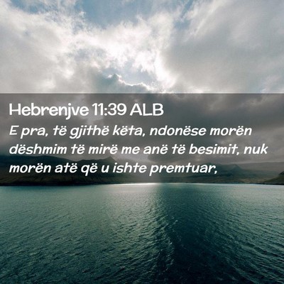 Picture 02 - Hebrenjve 11:39 ALB - E pra, të gjithë këta, ndonëse morën - Bible Verse Picture