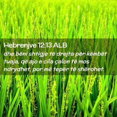 Picture 02 - Hebrenjve 12:13 ALB - dhe bëni shtigje të drejta për këmbët tuaja, - Bible Verse Picture