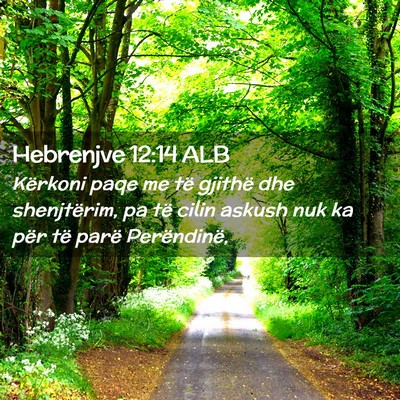 Picture 02 - Hebrenjve 12:14 ALB - Kërkoni paqe me të gjithë dhe shenjtërim, pa - Bible Verse Picture
