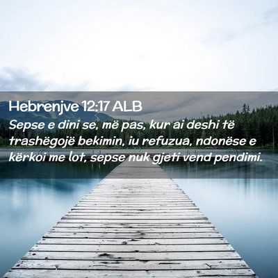 Picture 02 - Hebrenjve 12:17 ALB - Sepse e dini se, më pas, kur ai deshi të - Bible Verse Picture