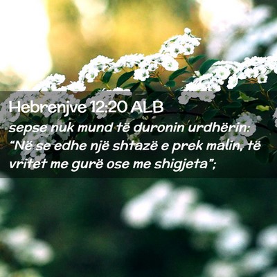 Picture 02 - Hebrenjve 12:20 ALB - sepse nuk mund të duronin urdhërin: “Në se - Bible Verse Picture