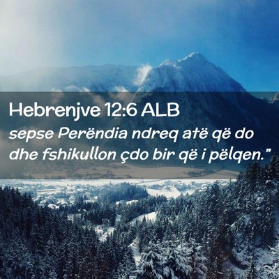 Picture 02 - Hebrenjve 12:6 ALB - sepse Perëndia ndreq atë që do dhe fshikullon - Bible Verse Picture