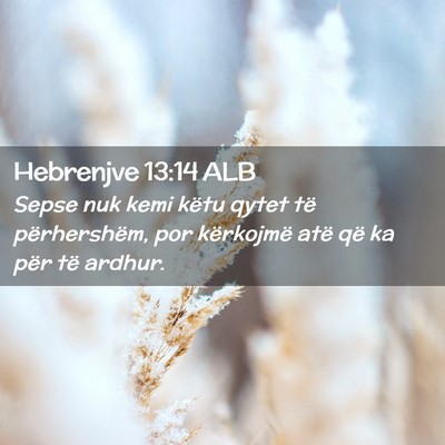 Picture 02 - Hebrenjve 13:14 ALB - Sepse nuk kemi këtu qytet të përhershëm, por - Bible Verse Picture