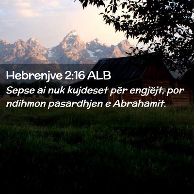 Picture 02 - Hebrenjve 2:16 ALB - Sepse ai nuk kujdeset për engjëjt, por ndihmon - Bible Verse Picture