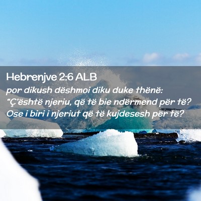 Picture 02 - Hebrenjve 2:6 ALB - por dikush dëshmoi diku duke thënë: - Bible Verse Picture