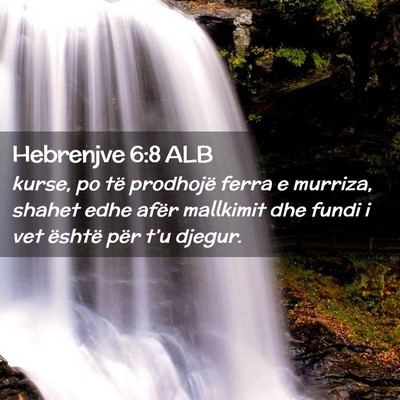 Picture 02 - Hebrenjve 6:8 ALB - kurse, po të prodhojë ferra e murriza, shahet - Bible Verse Picture