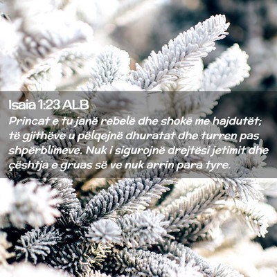 Picture 02 - Isaia 1:23 ALB - Princat e tu janë rebelë dhe shokë me - Bible Verse Picture