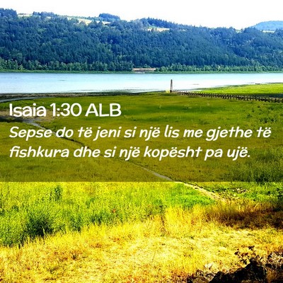 Picture 02 - Isaia 1:30 ALB - Sepse do të jeni si një lis me gjethe të - Bible Verse Picture