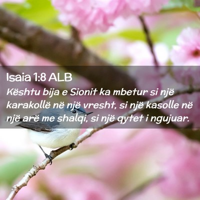 Picture 02 - Isaia 1:8 ALB - Kështu bija e Sionit ka mbetur si një - Bible Verse Picture