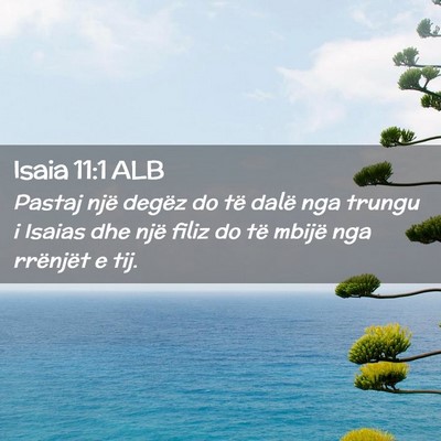 Picture 02 - Isaia 11:1 ALB - Pastaj një degëz do të dalë nga trungu i - Bible Verse Picture