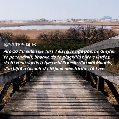 Picture 02 - Isaia 11:14 ALB - Ata do t’u sulen me turr Filistejve nga pas, - Bible Verse Picture