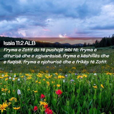 Picture 02 - Isaia 11:2 ALB - Fryma e Zotit do të pushojë mbi të; fryma e - Bible Verse Picture
