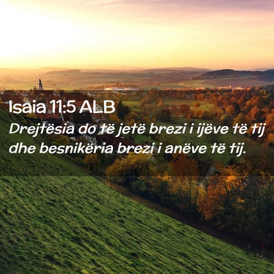 Picture 02 - Isaia 11:5 ALB - Drejtësia do të jetë brezi i ijëve të tij - Bible Verse Picture