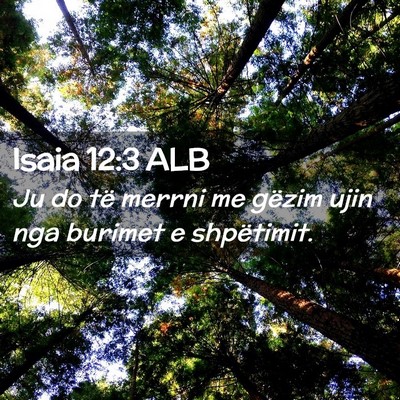 Picture 02 - Isaia 12:3 ALB - Ju do të merrni me gëzim ujin nga burimet e - Bible Verse Picture