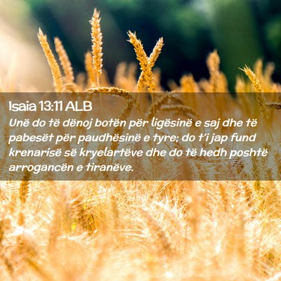 Picture 02 - Isaia 13:11 ALB - Unë do të dënoj botën për ligësinë e saj - Bible Verse Picture