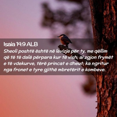 Picture 02 - Isaia 14:9 ALB - Sheoli poshtë është në lëvizje për ty, me - Bible Verse Picture