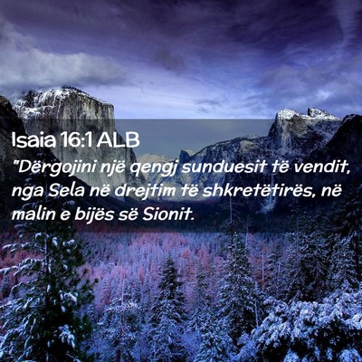 Picture 02 - Isaia 16:1 ALB - 