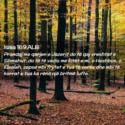 Picture 02 - Isaia 16:9 ALB - Prandaj me qarjen e Jazerit do të qaj vreshtat e - Bible Verse Picture
