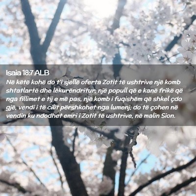 Picture 02 - Isaia 18:7 ALB - Në këtë kohë do t’i sjellë oferta Zotit - Bible Verse Picture