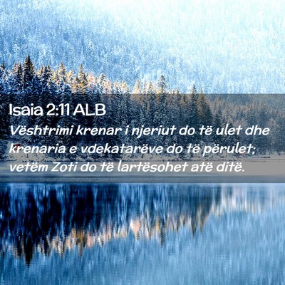 Picture 02 - Isaia 2:11 ALB - Vështrimi krenar i njeriut do të ulet dhe - Bible Verse Picture