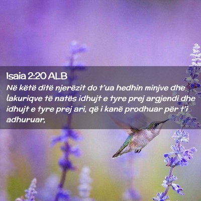 Picture 02 - Isaia 2:20 ALB - Në këtë ditë njerëzit do t’ua hedhin - Bible Verse Picture