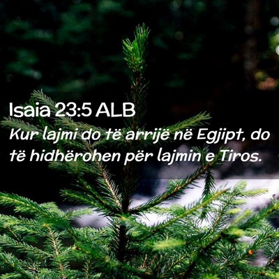 Picture 02 - Isaia 23:5 ALB - Kur lajmi do të arrijë në Egjipt, do të - Bible Verse Picture