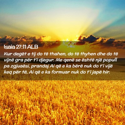 Picture 02 - Isaia 27:11 ALB - Kur degët e tij do të thahen, do të thyhen dhe - Bible Verse Picture