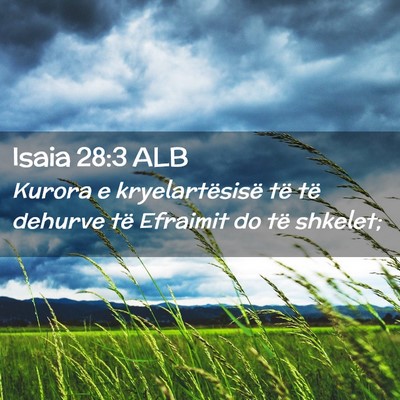 Picture 02 - Isaia 28:3 ALB - Kurora e kryelartësisë të të dehurve të - Bible Verse Picture