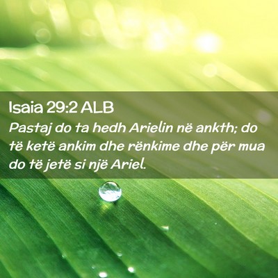 Picture 02 - Isaia 29:2 ALB - Pastaj do ta hedh Arielin në ankth; do të ketë - Bible Verse Picture