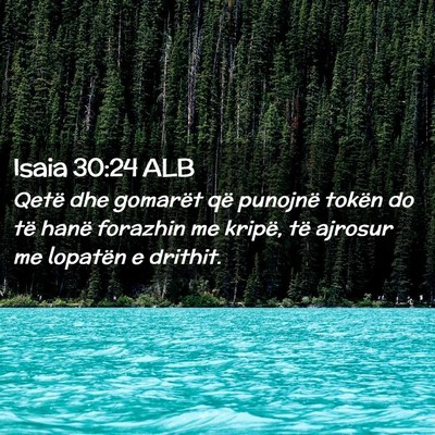 Picture 02 - Isaia 30:24 ALB - Qetë dhe gomarët që punojnë tokën do të - Bible Verse Picture