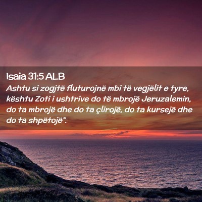 Picture 02 - Isaia 31:5 ALB - Ashtu si zogjtë fluturojnë mbi të vegjëlit e - Bible Verse Picture
