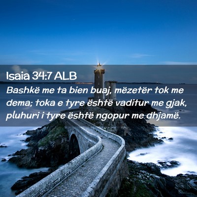 Picture 02 - Isaia 34:7 ALB - Bashkë me ta bien buaj, mëzetër tok me dema; - Bible Verse Picture