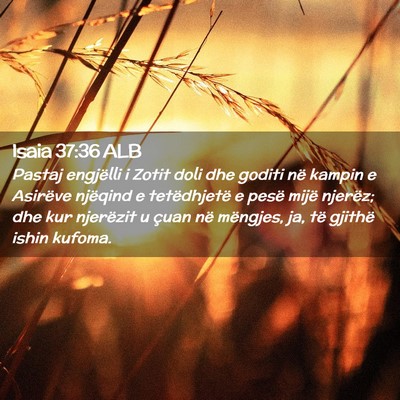 Picture 02 - Isaia 37:36 ALB - Pastaj engjëlli i Zotit doli dhe goditi në - Bible Verse Picture
