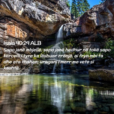 Picture 02 - Isaia 40:24 ALB - Sapo janë mbjellë, sapo janë hedhur në tokë - Bible Verse Picture