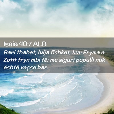 Picture 02 - Isaia 40:7 ALB - Bari thahet, lulja fishket, kur Fryma e Zotit - Bible Verse Picture