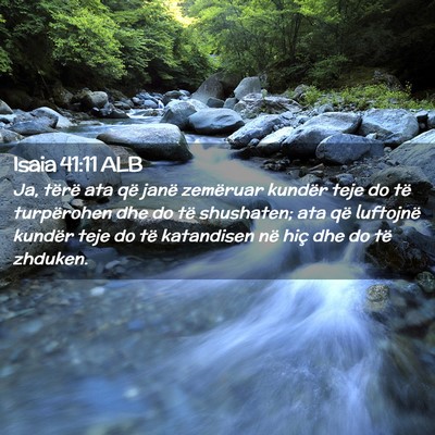 Picture 02 - Isaia 41:11 ALB - Ja, tërë ata që janë zemëruar kundër teje - Bible Verse Picture