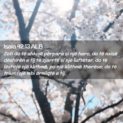 Picture 02 - Isaia 42:13 ALB - Zoti do të shkojë përpara si një hero, do të - Bible Verse Picture