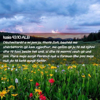 Picture 02 - Isaia 43:10 ALB - Dëshmitarët e mi jeni ju, thotë Zoti, bashkë - Bible Verse Picture